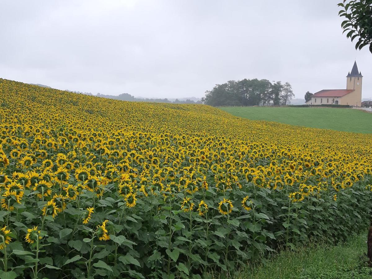 Gite L'Ecureuil*** Mouscardes Zewnętrze zdjęcie
